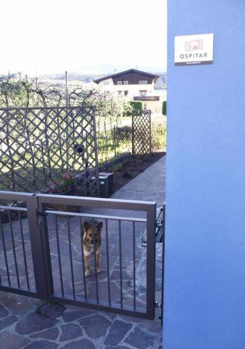 דירות Casa Del Tempo Irma Tassullo Ospitar מראה חיצוני תמונה